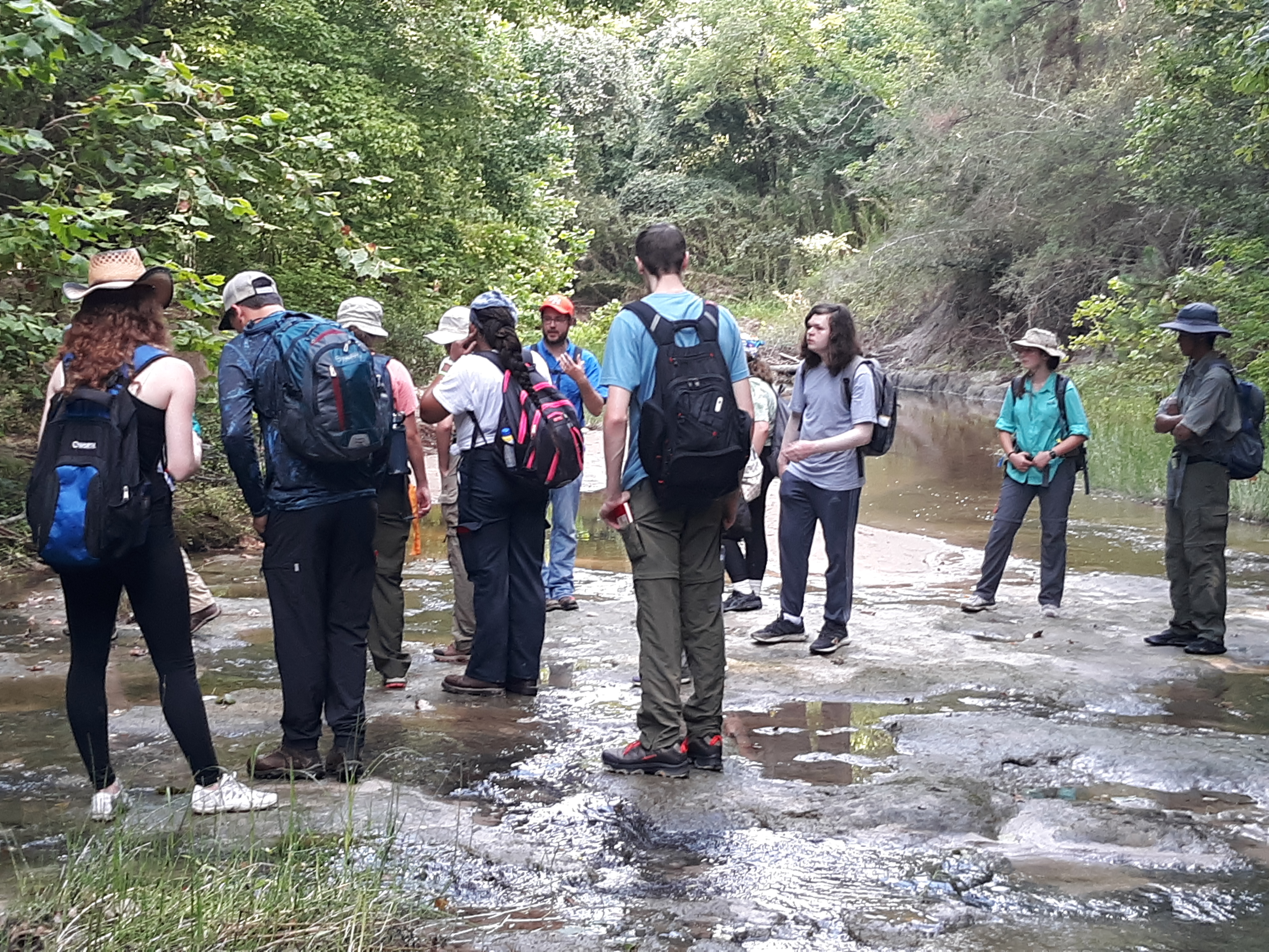 Dr. Guida (background) discussing stream processes with students